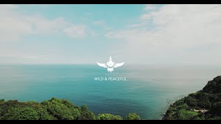 WILD amp PEACEFUL 【brand movie 2024】 [upl. by Ainimreh]