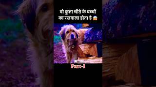 वो कुत्ता अपना फ़र्ज़ निभाता है  dog movie emotional shorts [upl. by Ruscher140]