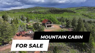 Mountain Cabin for Sale Walk Through [upl. by Junia]