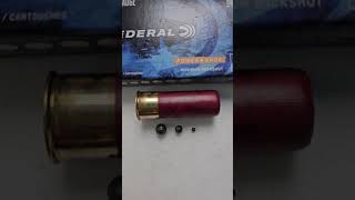 Beretta 1301 4 BuckShot Home defense [upl. by Kared665]