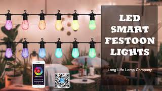 Outdoor LED Smart Festoon Lights RGB App Controlled Colour Changing WFFL01 [upl. by Yardley]