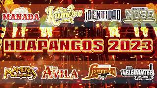 Huapangos Para Bailar  Legitimo Los Elegantes Alamenos Conjunto Nube y Mas  Huapangos Mix 2023 [upl. by Adnoloy]