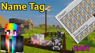 How To Use Name Tags  How To Name Pets In Minecraft In Hindi  LadyBrine [upl. by Hesky120]