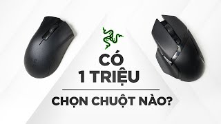 Deathadder V2 X Hyperspeed và Basilisk X Hyperspeed Đâu là sự lựa chọn phù hợp [upl. by Ecnarrat]