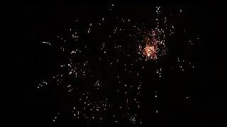 Night Reaper from Black Panther Fireworks fireworkcrazy [upl. by Leasi888]