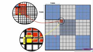 Using Hemocytometer and virtual LAbs عد الخلايا باستخدام الهيموسيتومتر و المعامل الافتراضية [upl. by Airotal]