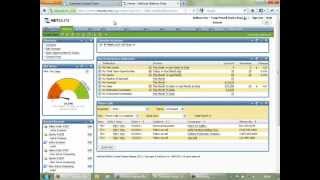 NetSuite Overview [upl. by Divad]