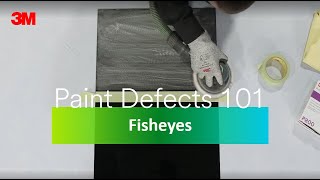 Paint Defects 101 Episode 2 Fish Eyes [upl. by Esya]