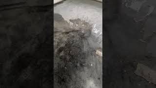 Terrazzo floors in very poor condition [upl. by Erek697]