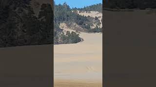 Coastal Adventures Sand Dunes Exploration vacation oregoncoast views [upl. by Brocklin]