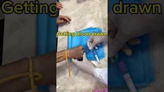 Getting blood drawn satisfying amsr blooddraw shorts [upl. by Sedrul840]