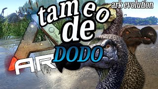 🦤 Cómo Domar un Dodo en ARK Mobile Ultimate Evolution 🦤 [upl. by Nylannej]