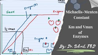 Km and Vmax of Enzymes  MichaelisMenten Constant [upl. by Cilurzo659]