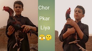 Chor pkar liya 😤👊🤫 [upl. by Divan]