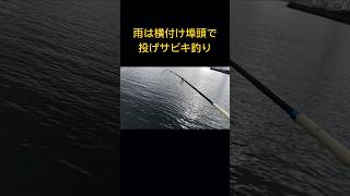 雨は横付けな埠頭で投げサビキ釣り 知多半島横付けな埠頭サビキ釣り知多半島 [upl. by Anisirhc]