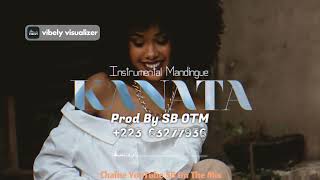 KANATA quot l ✘ Sokhou bb ✘ Mariam Bah ✘ Yacou B  Type Beat  Afro Mandingue 2024 [upl. by Kelam]