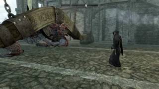 Elder Scrolls V Skyrim  Odahviings Awkward Moment With Farengar [upl. by Yllak]