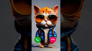 Cat Calling You [upl. by Katerina]