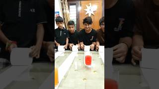 Toilet paper challenge souravjoshivlogs piyushjoshivlogs souravjoshimemes shorts [upl. by Farika]