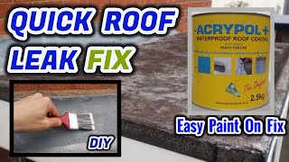 Quick Roof Leak Fix You NEED To Know  Choose Acrypol DIY [upl. by Idalia631]