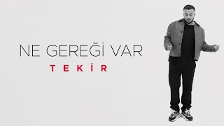 Tekir  Ne Gereği Var Official Video [upl. by Aiasi]