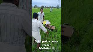 Delta paddy Power weeder dealar required 9443905728 [upl. by Rudin]