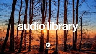 Acoustic Folk Instrumental – Hyde  Free Instrumentals No Copyright Music [upl. by Murtha]