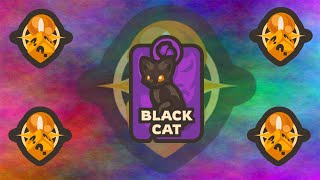 TAMINGIO BLACK CAT SHOWOFF [upl. by Assirk]