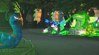 A preview of this years Zoomagination The Festival of Lanterns and Lights [upl. by Budwig]