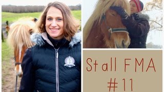 StallFMA 11  Mein Stallalltag reiten ohne Sattel und EURE Fragen  LadyLandrand [upl. by Karwan]