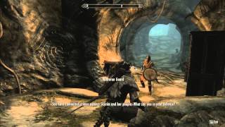 This Whiterun guard really wanted me arrested [upl. by Clea462]