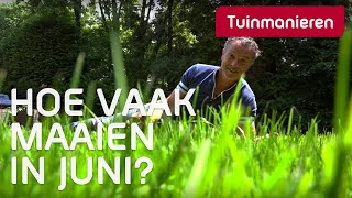 JUNI Hoe vaak moet je je gazon maaien in juni Gras tips [upl. by Elazaro]