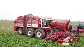 12 row Sugarbeet Harvesting 4K The Netherlands  AGRIFAC HEXA [upl. by Alica]