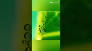 Photosynthesis  How to make oxygen from a leaf science chemistry biology [upl. by Brechtel354]