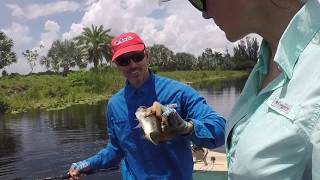 Sneaky Bass Fishing off of FL Turnpike [upl. by Tterag]