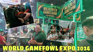 WORLD GAMEFOWL EXPO 2024  WILDCREEK GAMEFARM  BALERIANS GAMEYARD [upl. by Helbonia]