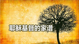 耶稣生平 系列  1 耶稣的家谱 [upl. by Eddana]