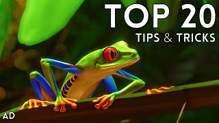 Top 20 Tips amp Tricks in Planet Zoo [upl. by Kcirre348]