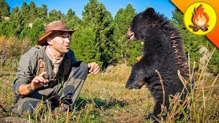 Feisty Baby Bear [upl. by Dennie]