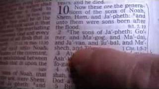 Genesis 10 Holy Bible King James [upl. by Edva323]