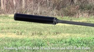 556 Suppressor test [upl. by Valene]