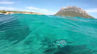 SARDINIA ISLAND SARDEGNA ITALIA ISOLA DI TAVOLARA SNORKELING FONDALE DIVING [upl. by Naujal]