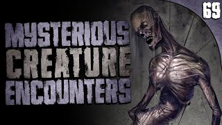 69 DISTURBING amp Mysterious Creature Sightings Compilation [upl. by Annaert]