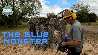 Husqvarna 450 Rancher amp Holzfforma 888 Blue Monster VS Large Maple Stump [upl. by Enorahs]