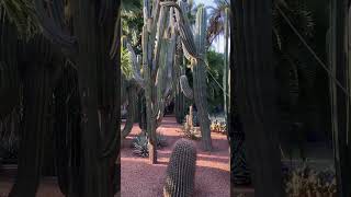 Majorelle Garden in Marrakesh Morocco [upl. by Cuthbertson]