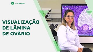 Histologia veterinária ovário [upl. by Ajssatan]