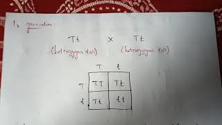 LAW OF DOMINANCE BY USING MONOHYBRID CROSS BY PHANINDRA GUPTHA [upl. by Inal]