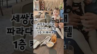 세쌍둥이 자매 파라다이스 호텔 1층 카페에요 [upl. by Aizat744]