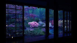 Rain On Japanese Zen Garden At Night 10 HrsㅣFor Sleep Study Relaxation  Calmbience Rain Sounds [upl. by Eilak]