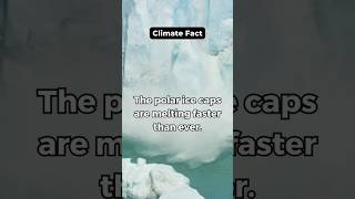 The polar ice caps are melting faster than ever facts climatechange shorts [upl. by Chien]